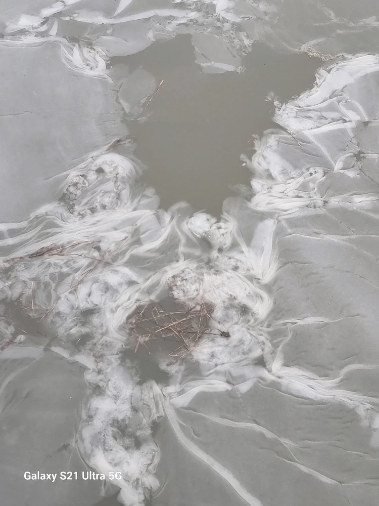 GIF hochgeladen von Edgar