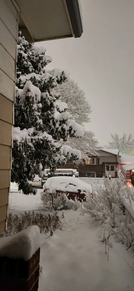 Image uploaded by Jen