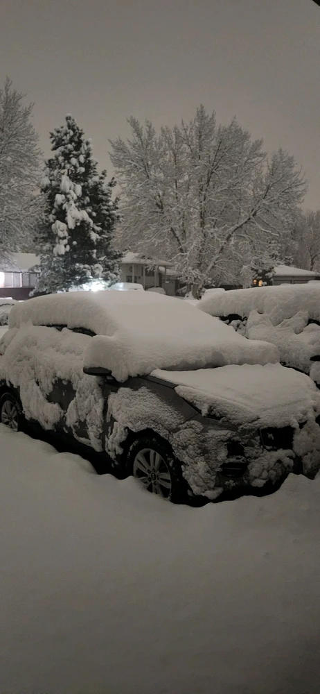 Image uploaded by Jen