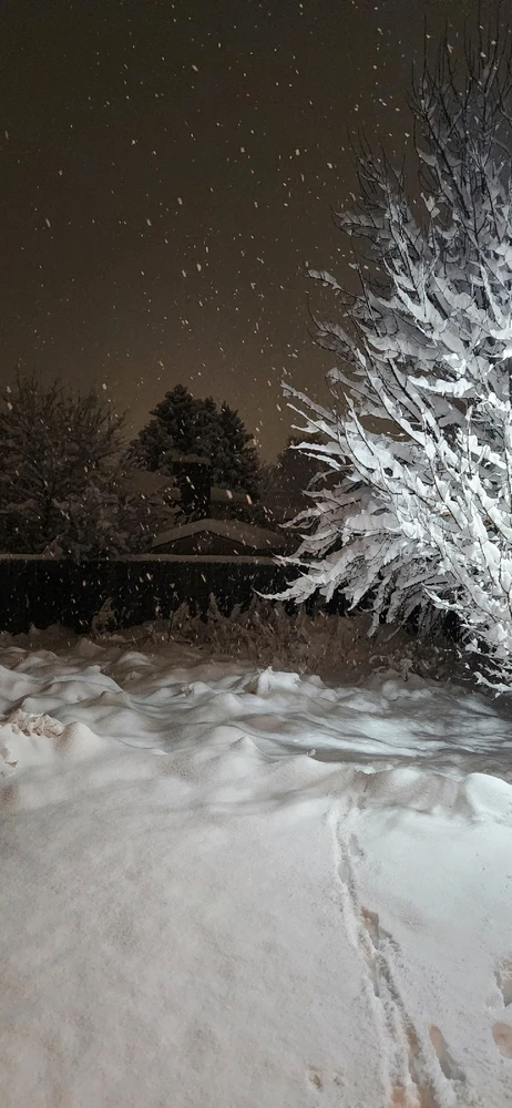 Image uploaded by Jen