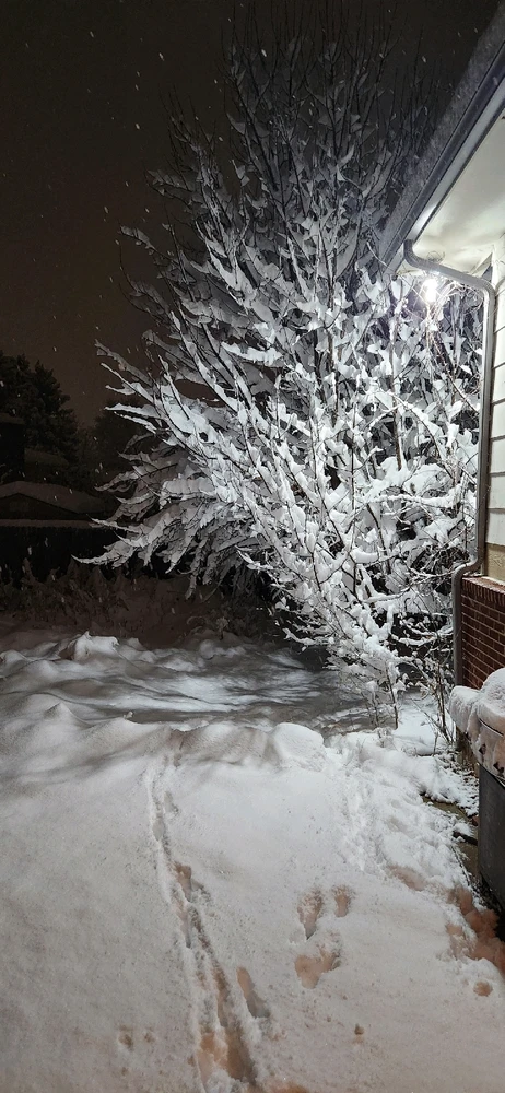 Image uploaded by Jen