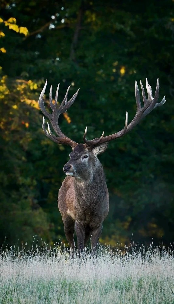 Image ajoutée par Dorian