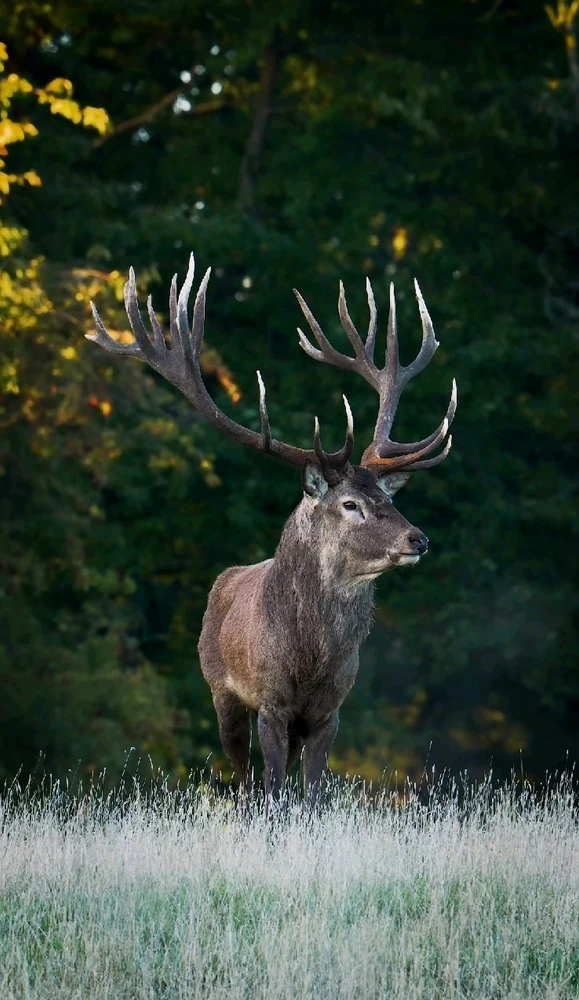 Image ajoutée par Dorian