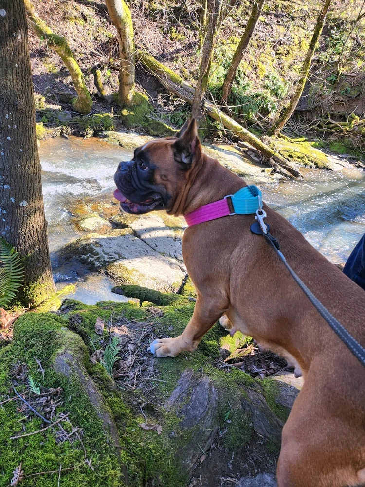 Image uploaded by Mick