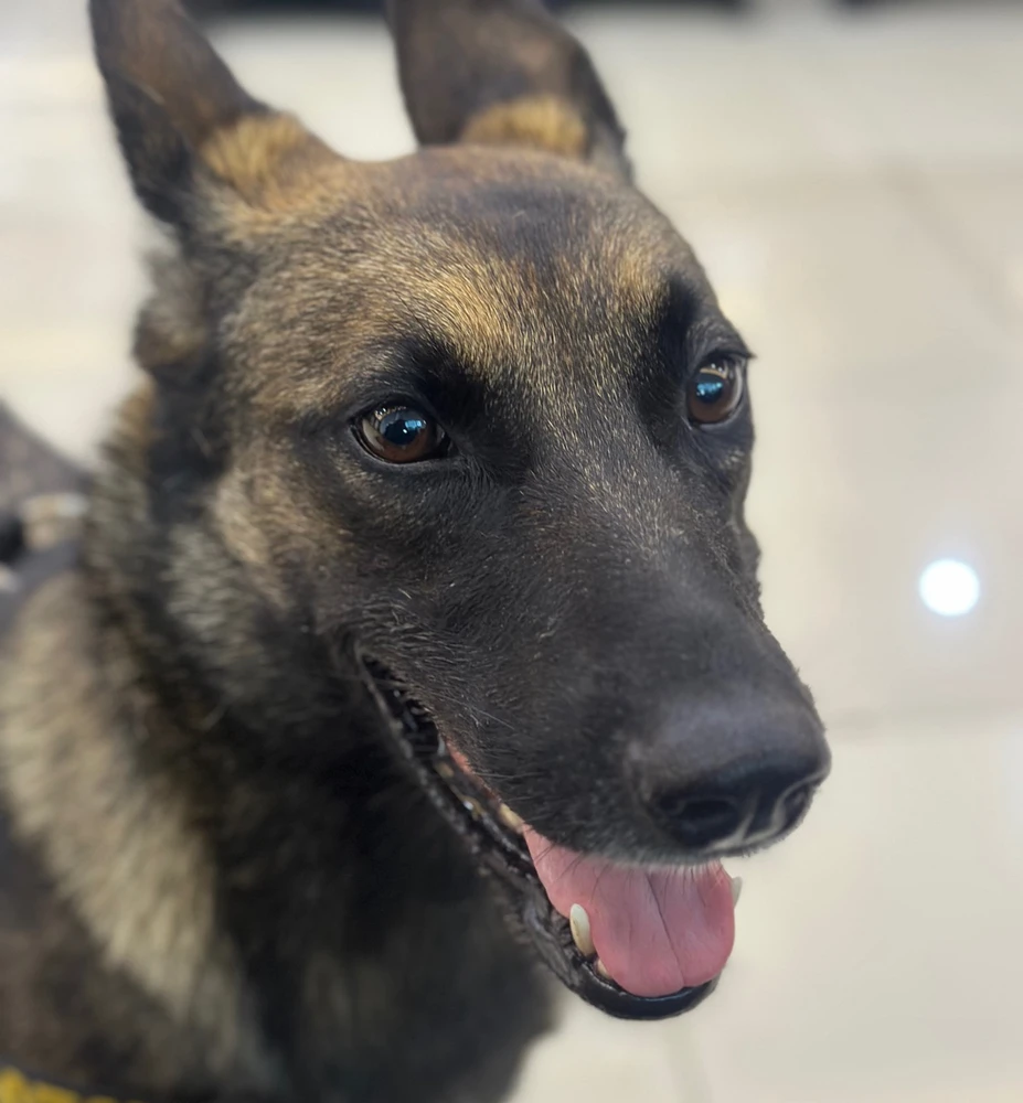 GIF uploaded by Dyah N