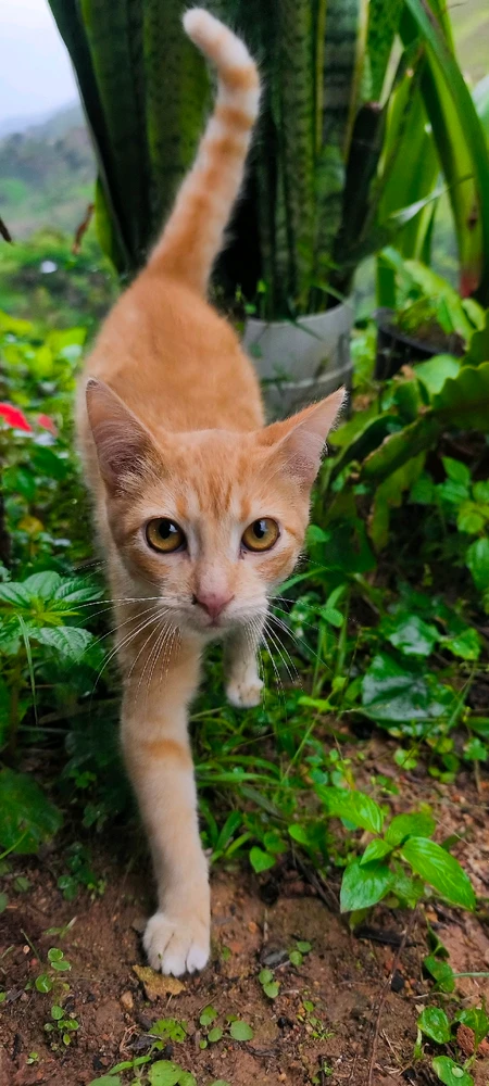 GIF subido por Breiner Beltran