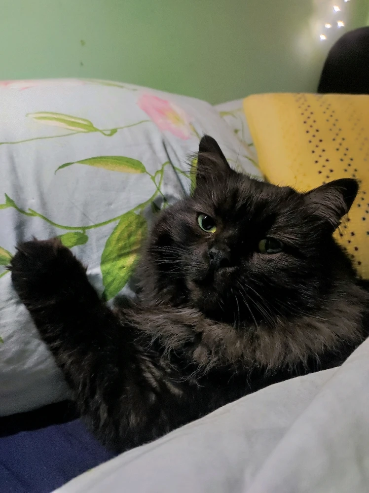 Зображення завантажив Оля