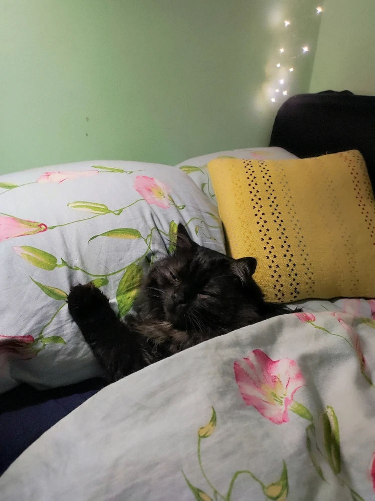 Зображення завантажив Оля