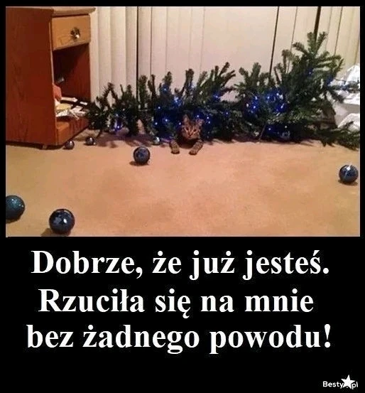 GIF dodany przez Alicja