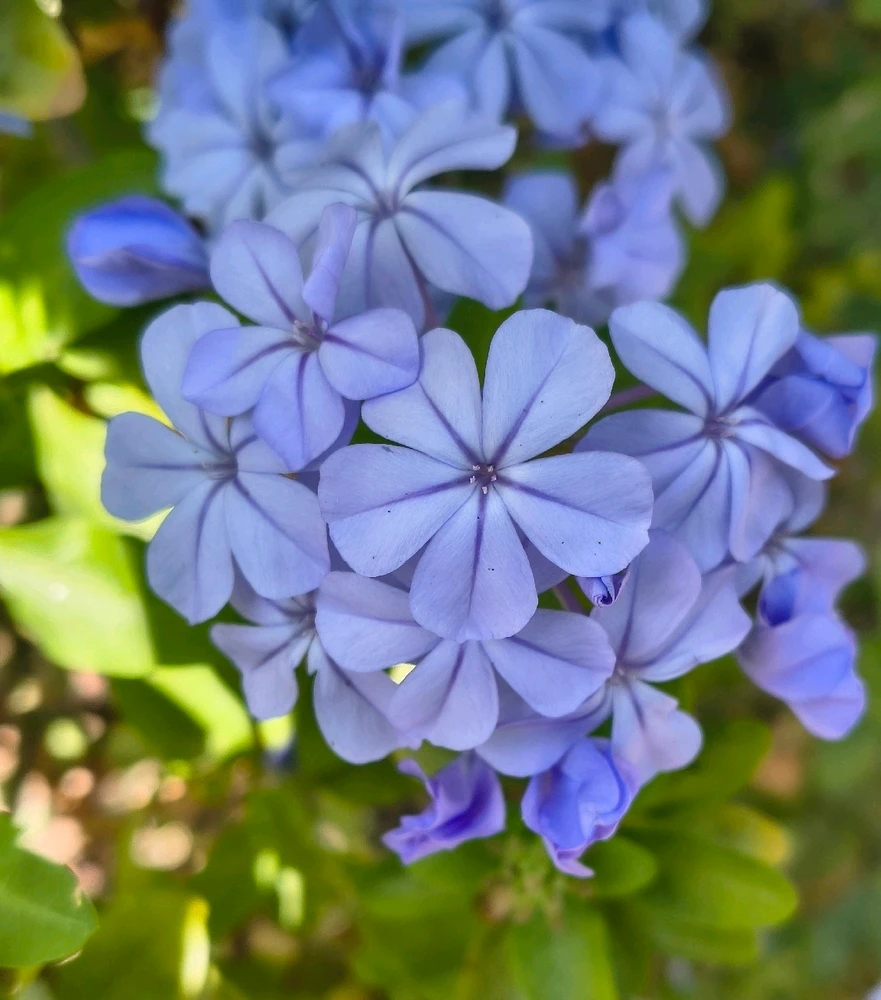 GIF subido por Victor