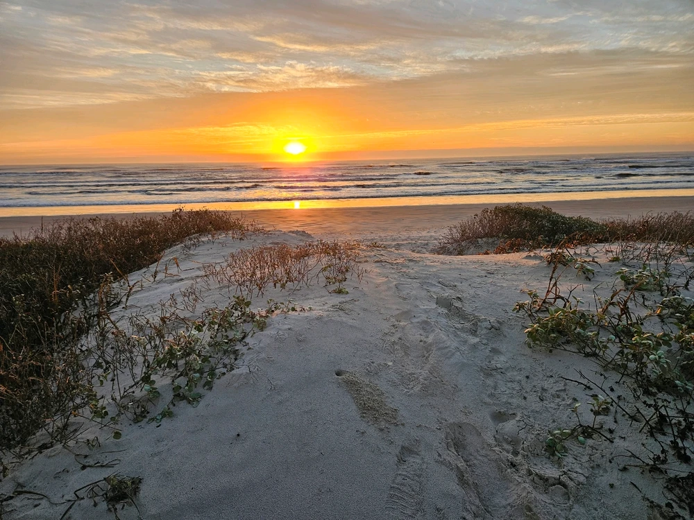 Image uploaded by Joe Diaz