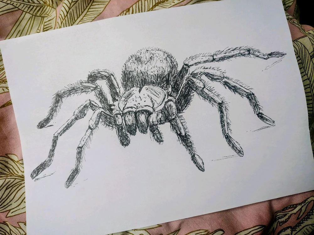 Image uploaded by Mika