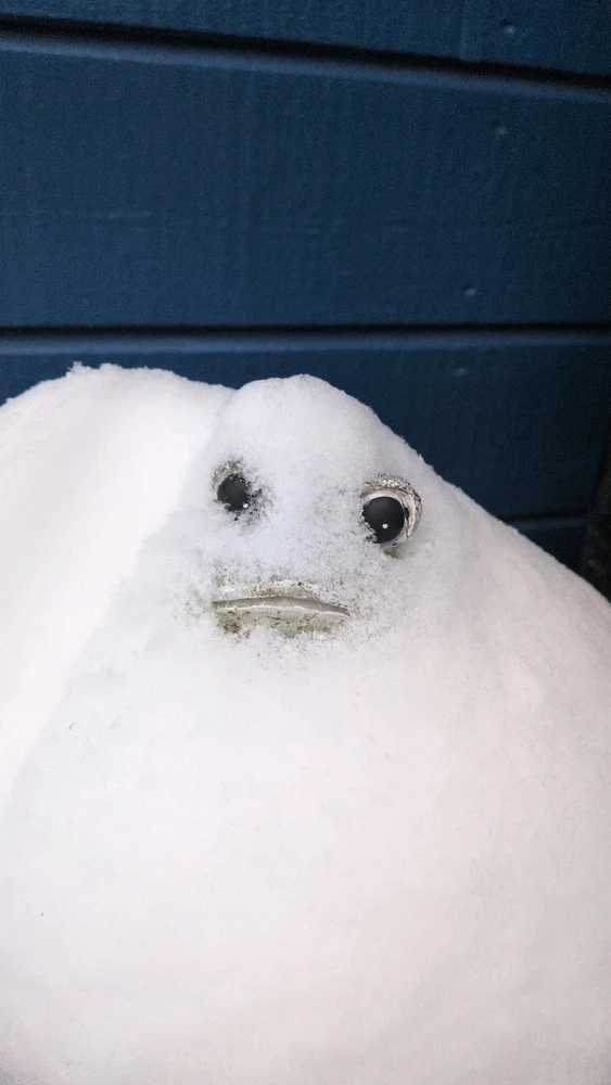 GIF uppladdad av Dennis