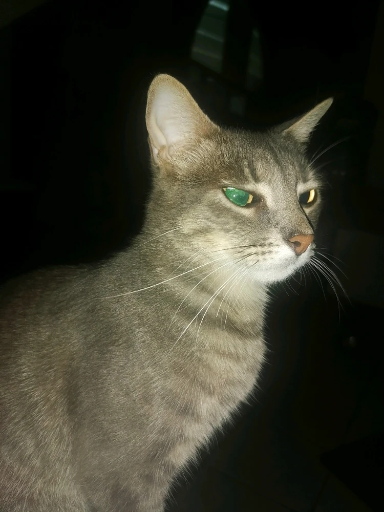 GIF subido por Jorge Luis