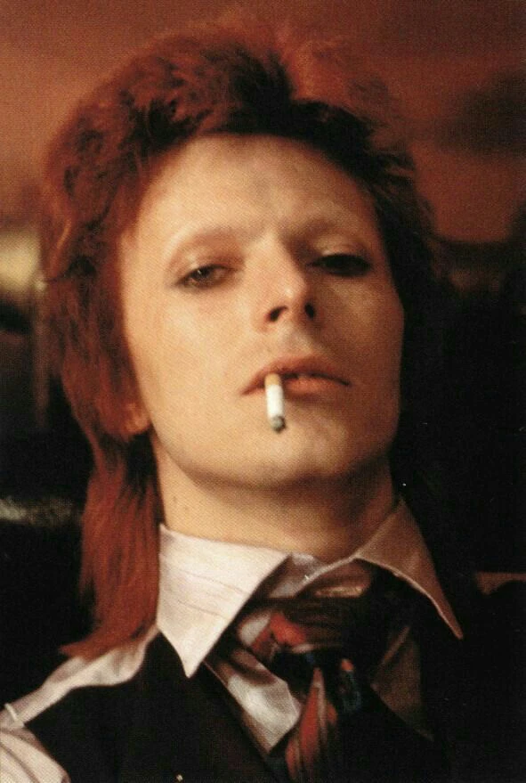 Image uploaded by Bean