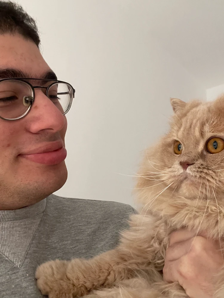 GIF uploaded by Weaam