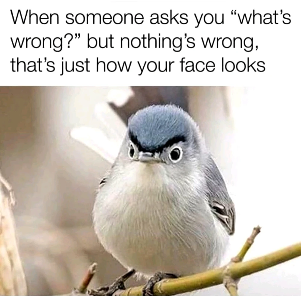 GIF hochgeladen von 𝕁𝕖𝕤𝕤𝕚𝕔𝕒