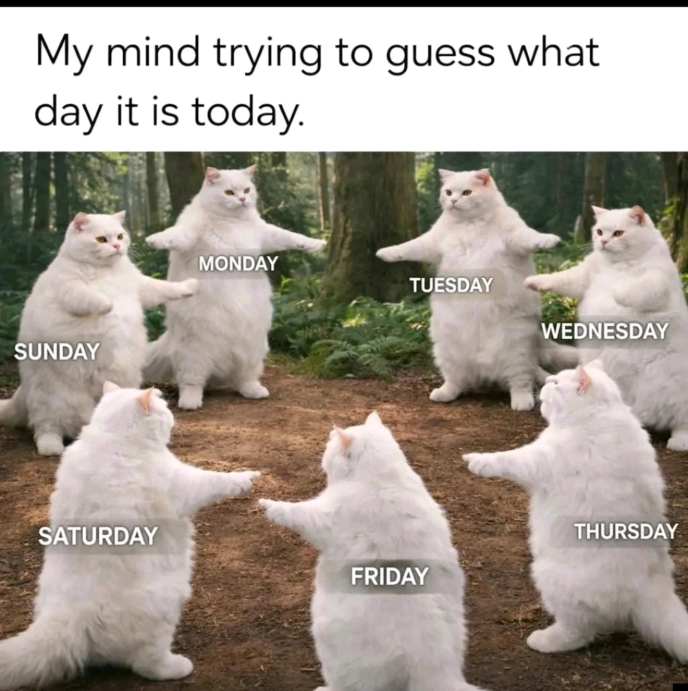 GIF uploaded by ๐ฏ๐๐๐