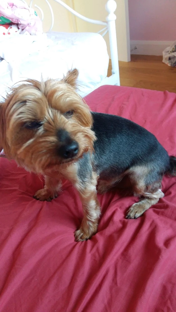 Image uploaded by Waiho