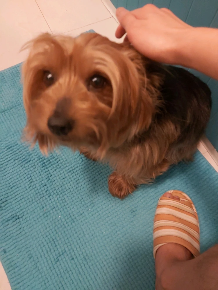 Image uploaded by Waiho