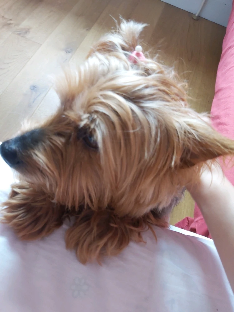 Image uploaded by Waiho