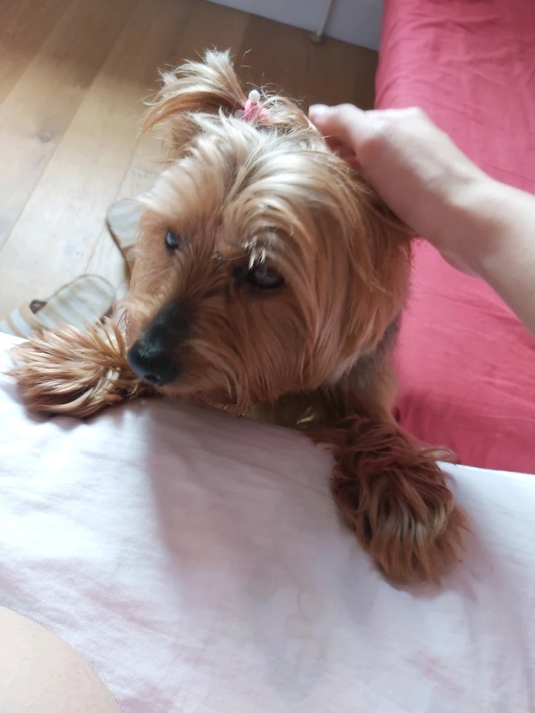 Image uploaded by Waiho