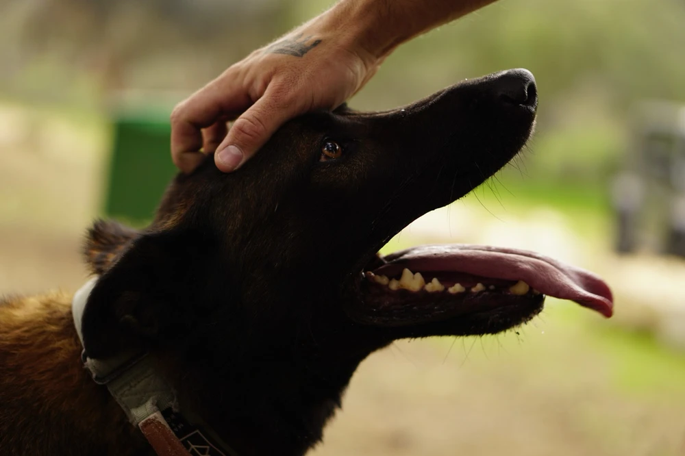 Image uploaded by סרגיי