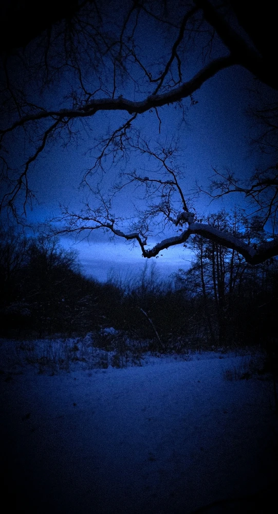 GIF hochgeladen von Anne (aka KuschelBrrrr- zeig mal etwas Wärme!!)