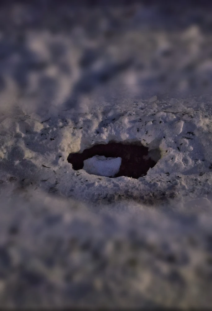 GIF hochgeladen von Anne (aka KuschelBrrrr- zeig mal etwas Wärme!!)