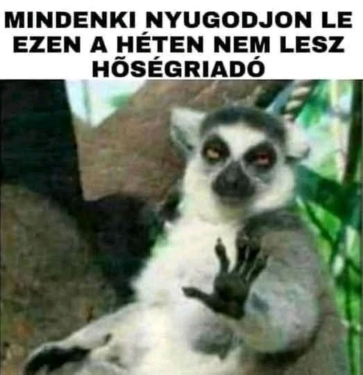 Gábor által feltöltött kép