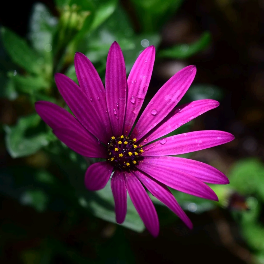 GIF diunggah dening S