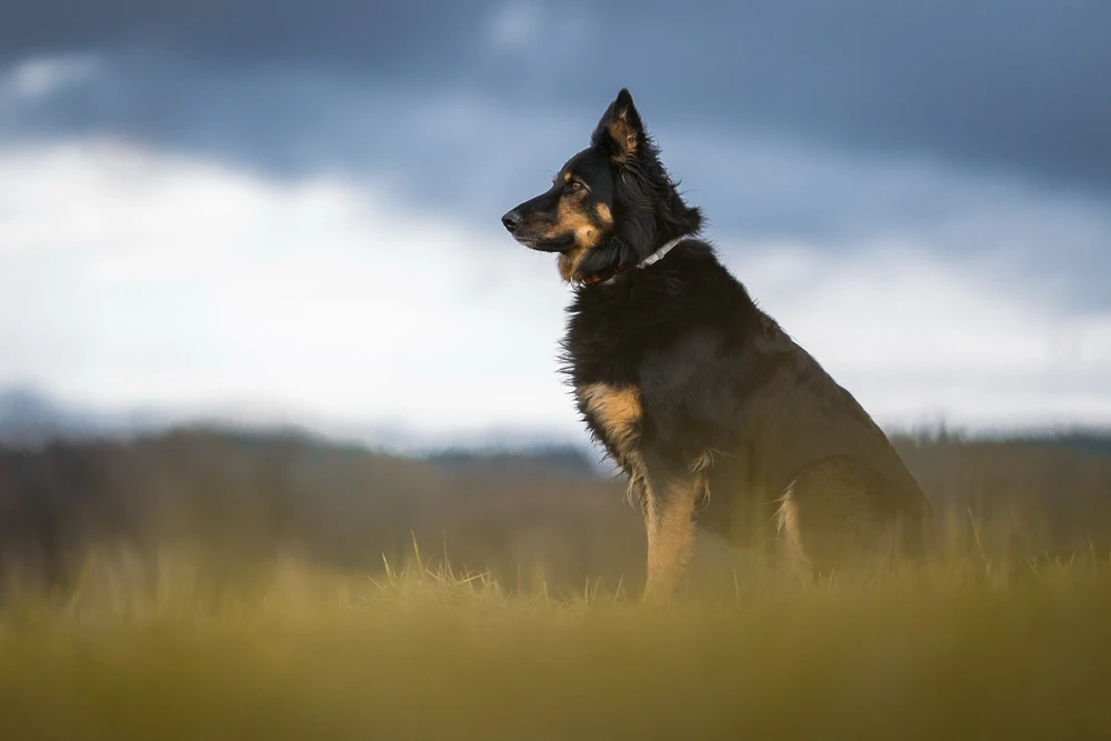 Obrázek nahrál Filip