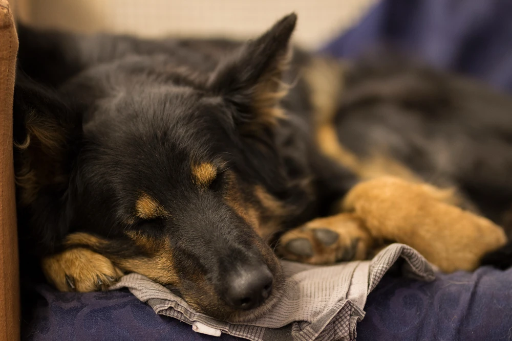 Obrázek nahrál Filip