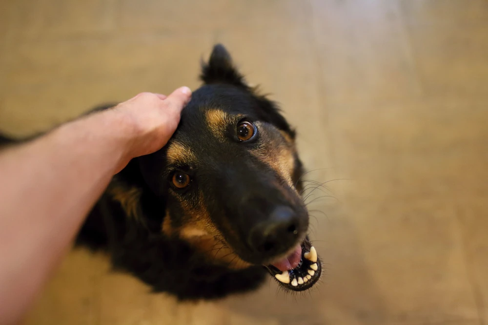 Obrázek nahrál Filip