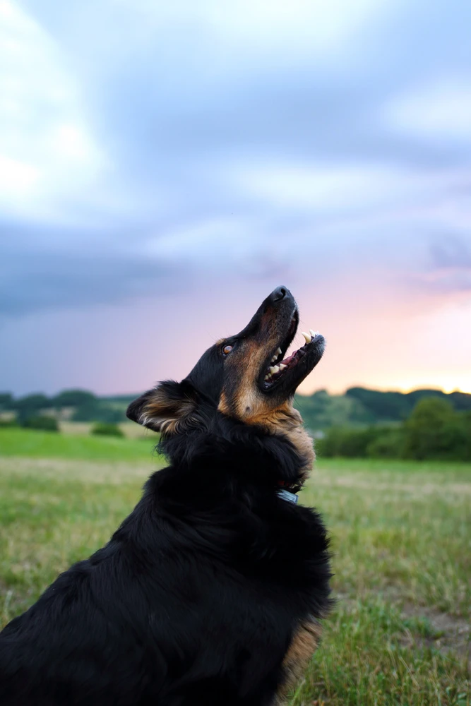 Obrázek nahrál Filip