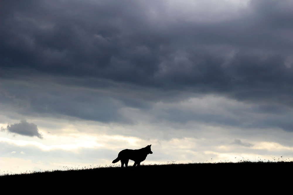 Obrázek nahrál Filip