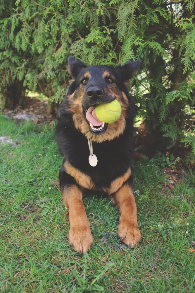 Obrázek nahrál Filip