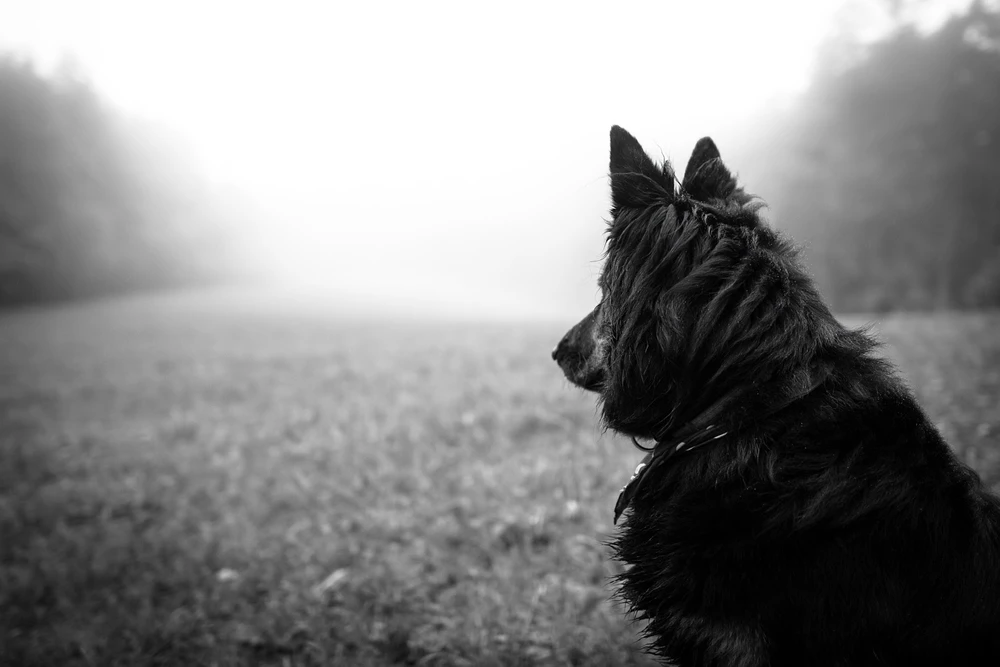 Obrázek nahrál Filip