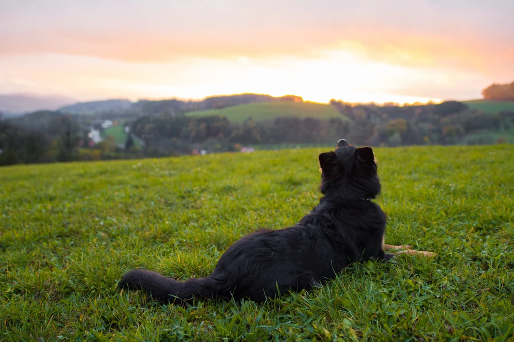 Obrázek nahrál Filip