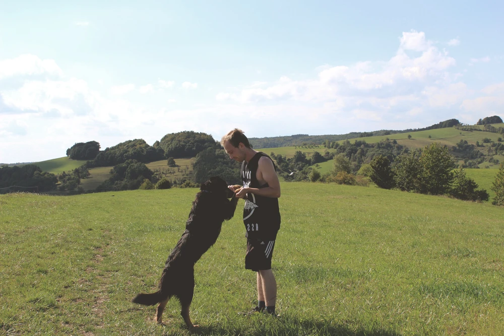 Obrázek nahrál Filip