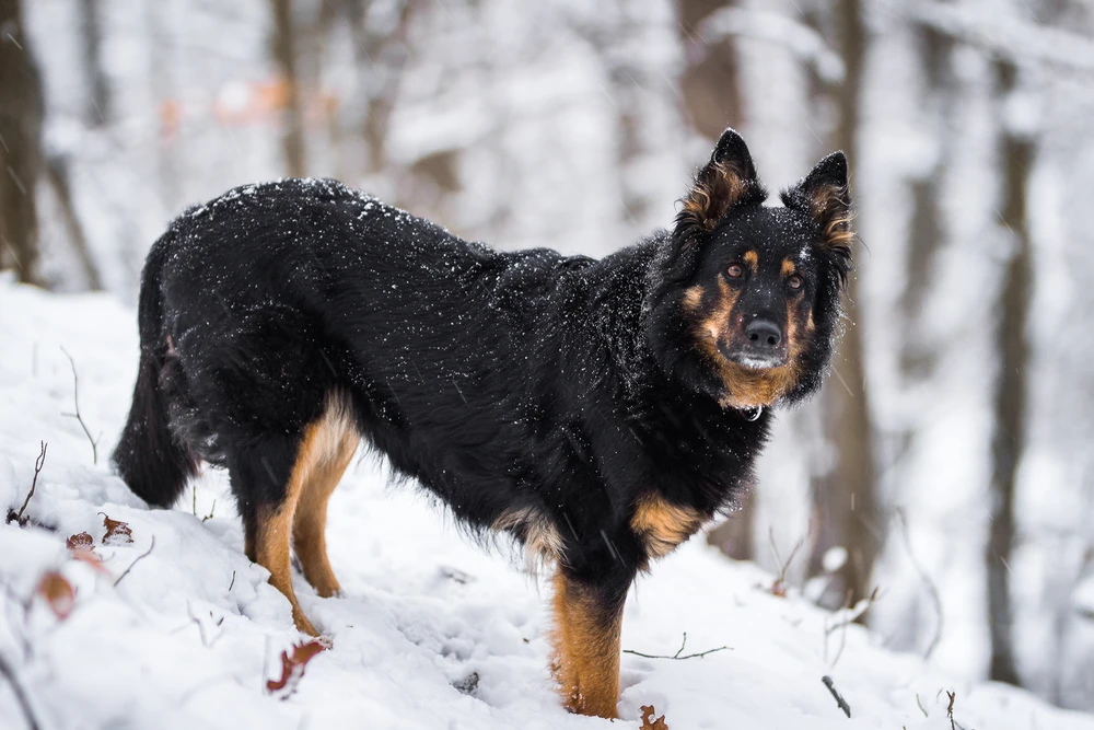 Obrázek nahrál Filip
