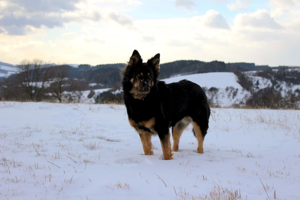 Obrázek nahrál Filip