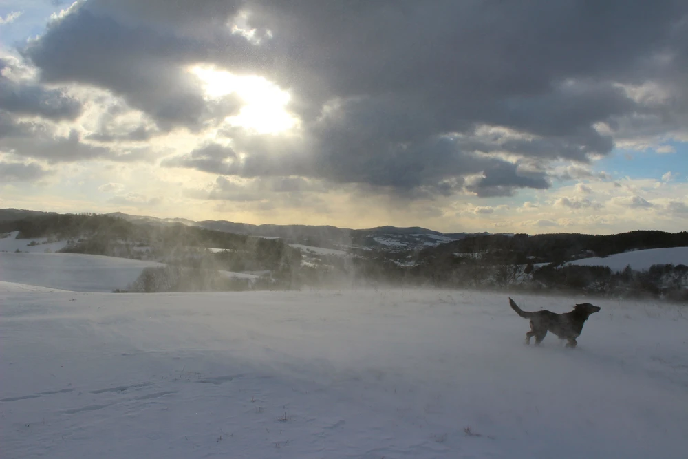 Obrázek nahrál Filip