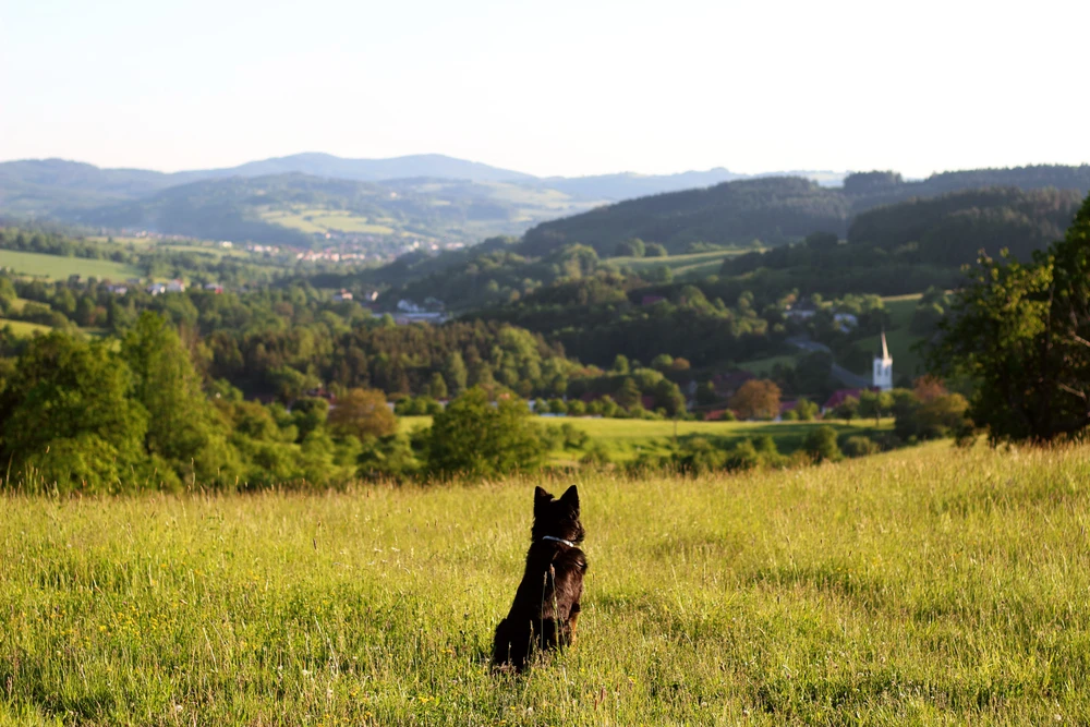 Obrázek nahrál Filip