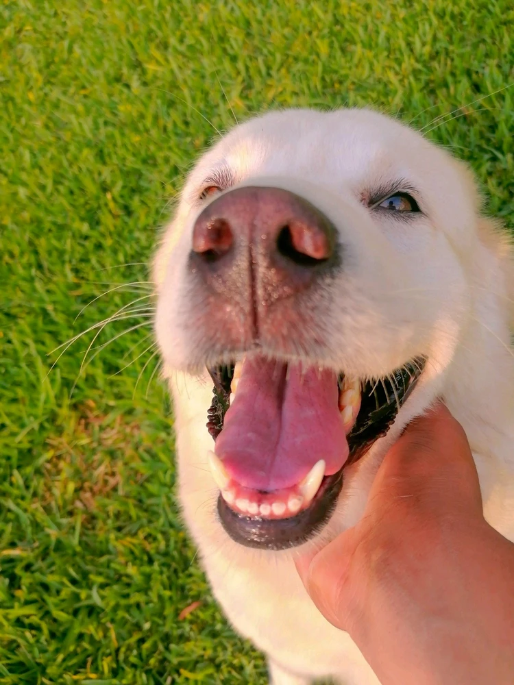 GIF subido por Kevin Málaga