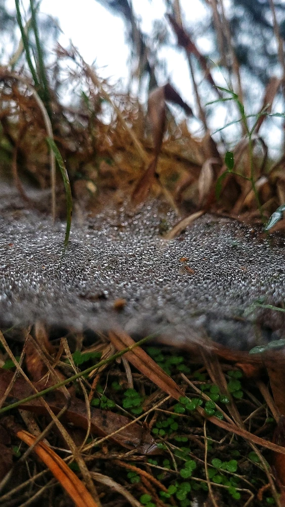 Image uploaded by Christie