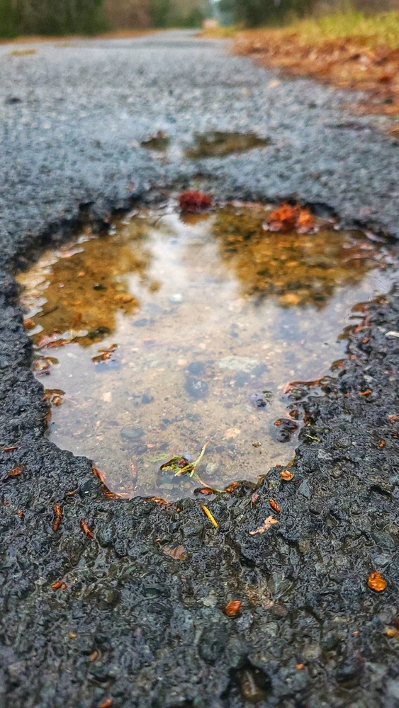 Image uploaded by Christie