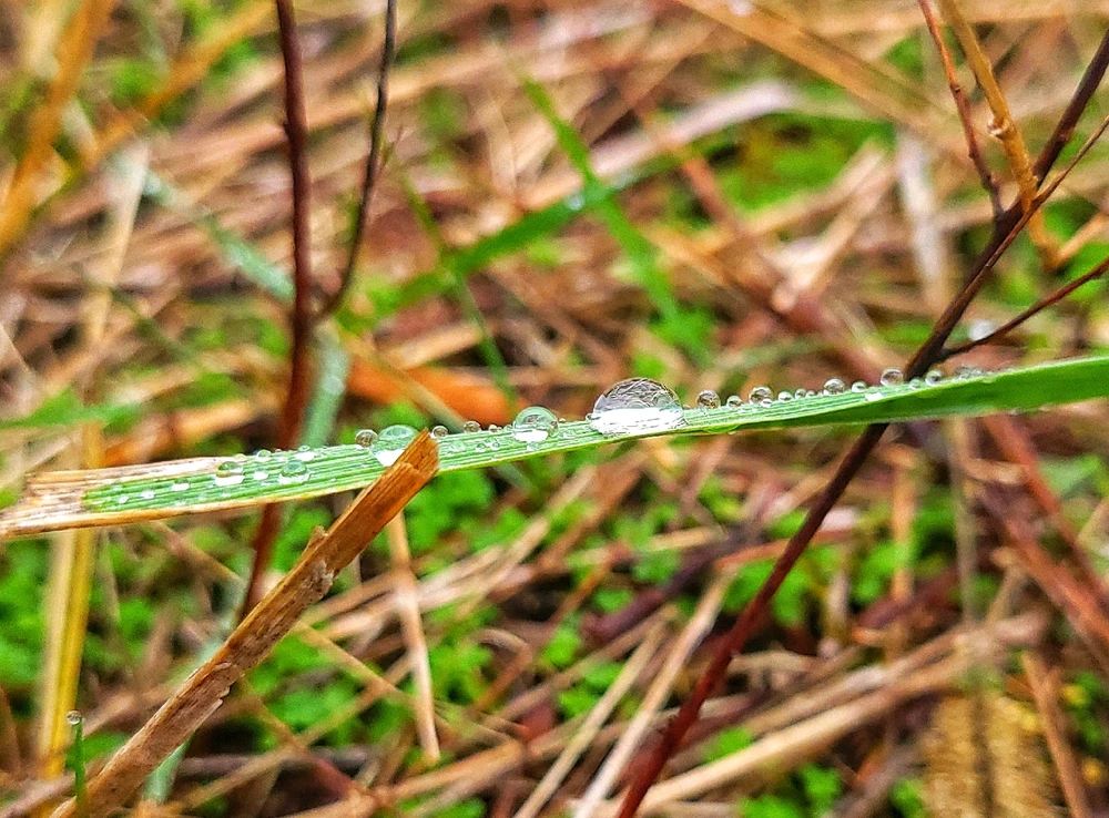 Image uploaded by Christie