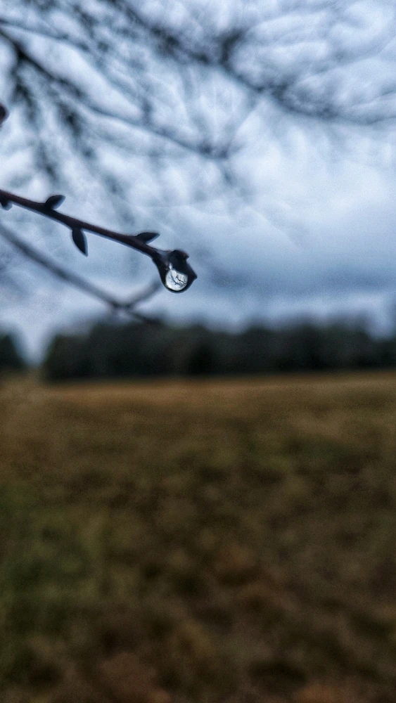 Image uploaded by Christie