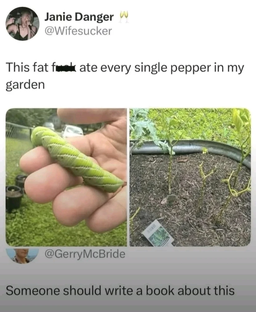 GIF uploaded by Luke